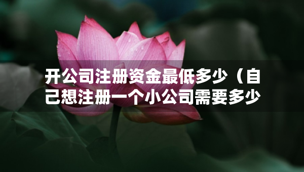 開公司注冊資金最低多少（自己想注冊一個小公司需要多少錢）