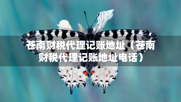 蒼南財(cái)稅代理記賬地址（蒼南財(cái)稅代理記賬地址電話）