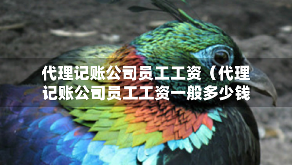 代理記賬公司員工工資（代理記賬公司員工工資一般多少錢一個月）