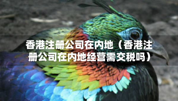 香港注冊公司在內(nèi)地（香港注冊公司在內(nèi)地經(jīng)營需交稅嗎）