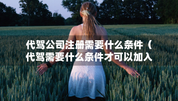 代駕公司注冊(cè)需要什么條件（代駕需要什么條件才可以加入）