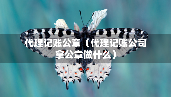 代理記賬公章（代理記賬公司拿公章做什么）
