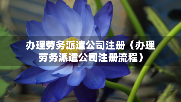 辦理勞務(wù)派遣公司注冊（辦理勞務(wù)派遣公司注冊流程）