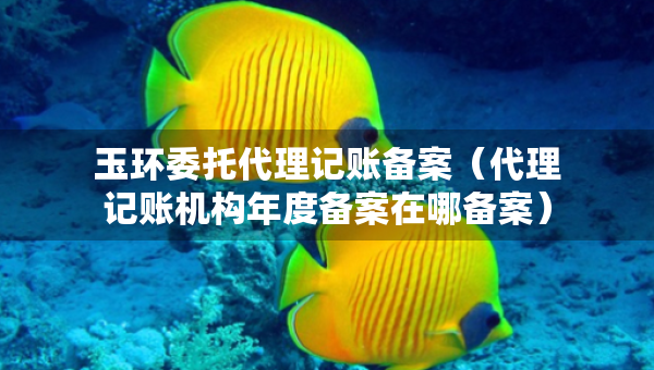 玉環(huán)委托代理記賬備案（代理記賬機構(gòu)年度備案在哪備案）