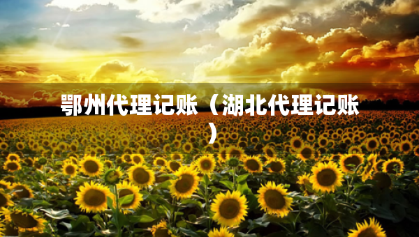 鄂州代理記賬（湖北代理記賬）