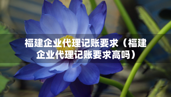 福建企業(yè)代理記賬要求（福建企業(yè)代理記賬要求高嗎）