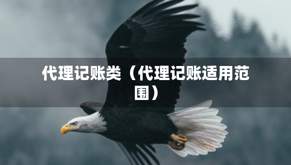 代理記賬類(lèi)（代理記賬適用范圍）