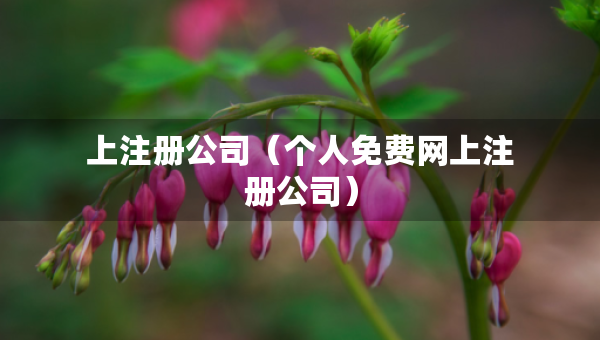上注冊(cè)公司（個(gè)人免費(fèi)網(wǎng)上注冊(cè)公司）