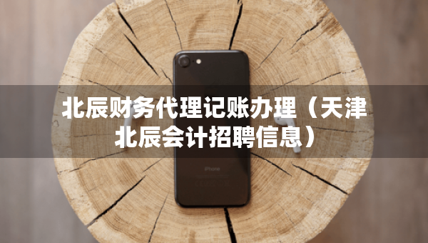 北辰財(cái)務(wù)代理記賬辦理（天津北辰會(huì)計(jì)招聘信息）