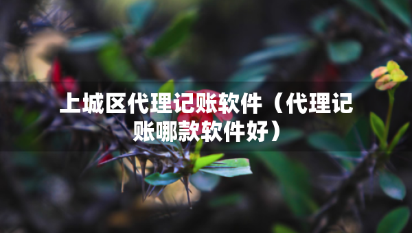 上城區(qū)代理記賬軟件（代理記賬哪款軟件好）
