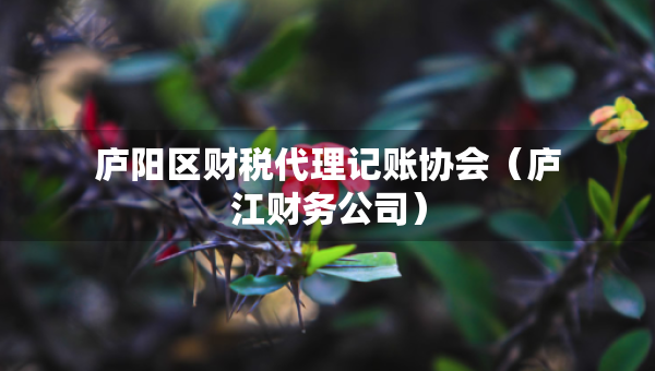 廬陽區(qū)財稅代理記賬協(xié)會（廬江財務(wù)公司）