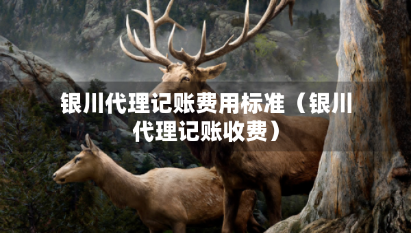 銀川代理記賬費(fèi)用標(biāo)準(zhǔn)（銀川代理記賬收費(fèi)）