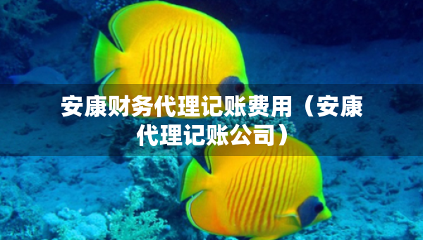 安康財務(wù)代理記賬費用（安康代理記賬公司）