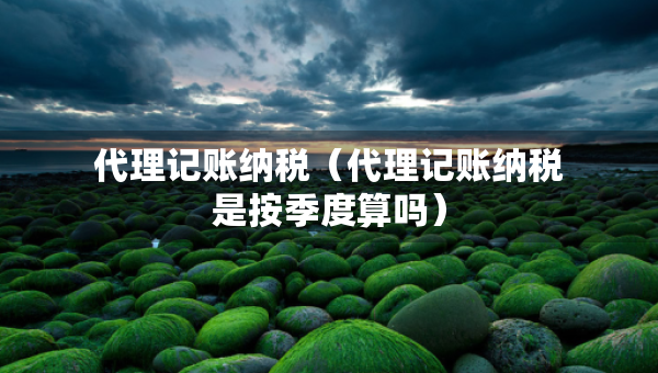 代理記賬納稅（代理記賬納稅是按季度算嗎）