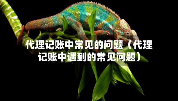 代理記賬中常見的問題（代理記賬中遇到的常見問題）
