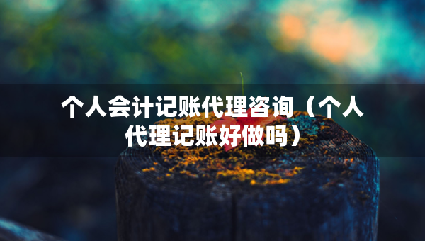個人會計記賬代理咨詢（個人代理記賬好做嗎）
