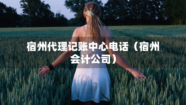 宿州代理記賬中心電話(huà)（宿州會(huì)計(jì)公司）