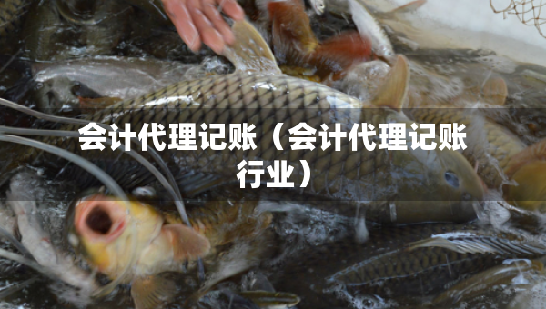 會計代理記賬（會計代理記賬行業(yè)）