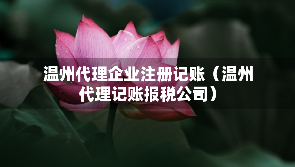 溫州代理企業(yè)注冊(cè)記賬（溫州代理記賬報(bào)稅公司）