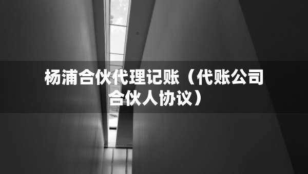 楊浦合伙代理記賬（代賬公司合伙人協(xié)議）