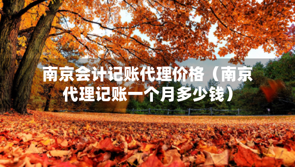 南京會(huì)計(jì)記賬代理價(jià)格（南京代理記賬一個(gè)月多少錢(qián)）