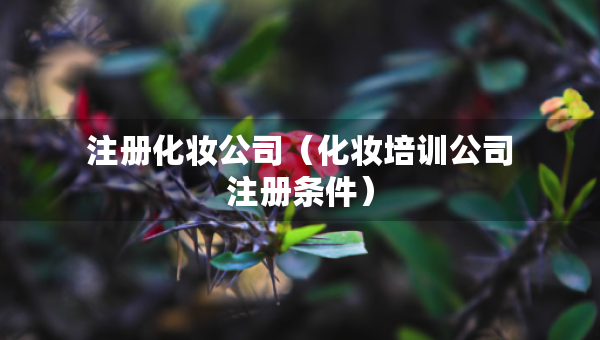 注冊(cè)化妝公司（化妝培訓(xùn)公司注冊(cè)條件）