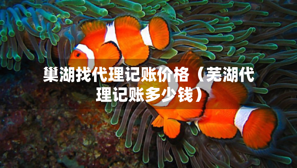 巢湖找代理記賬價(jià)格（蕪湖代理記賬多少錢）