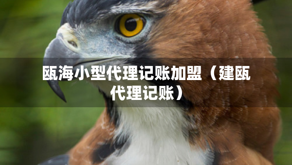 甌海小型代理記賬加盟（建甌代理記賬）