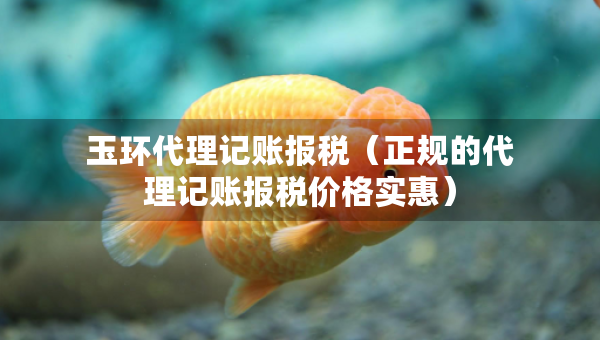 玉環(huán)代理記賬報(bào)稅（正規(guī)的代理記賬報(bào)稅價(jià)格實(shí)惠）