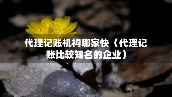 代理記賬機(jī)構(gòu)哪家快（代理記賬比較知名的企業(yè)）