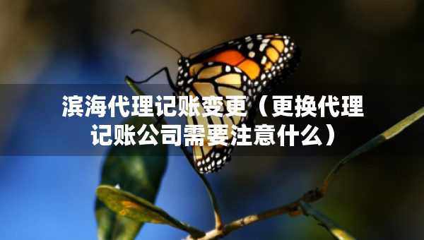 濱海代理記賬變更（更換代理記賬公司需要注意什么）