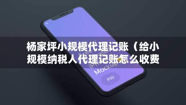楊家坪小規(guī)模代理記賬（給小規(guī)模納稅人代理記賬怎么收費(fèi)）