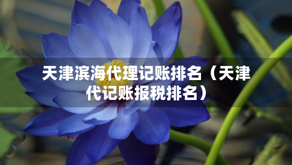 天津濱海代理記賬排名（天津代記賬報稅排名）