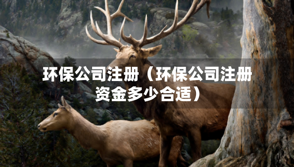環(huán)保公司注冊(cè)（環(huán)保公司注冊(cè)資金多少合適）