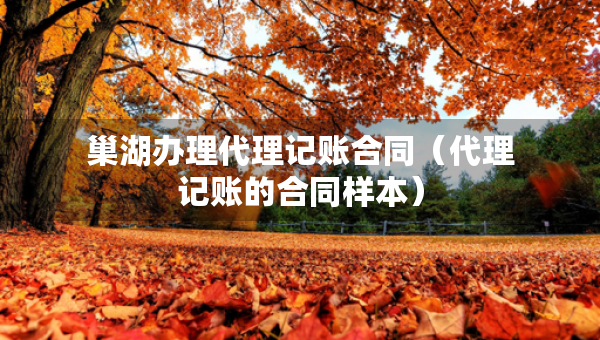 巢湖辦理代理記賬合同（代理記賬的合同樣本）