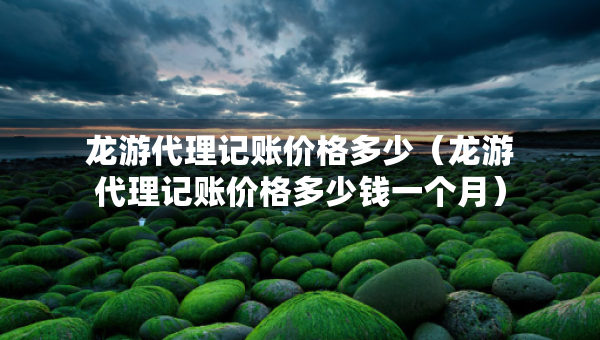 龍游代理記賬價格多少（龍游代理記賬價格多少錢一個月）