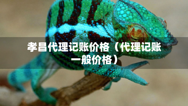 孝昌代理記賬價格（代理記賬一般價格）
