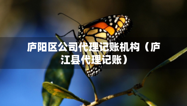 廬陽(yáng)區(qū)公司代理記賬機(jī)構(gòu)（廬江縣代理記賬）