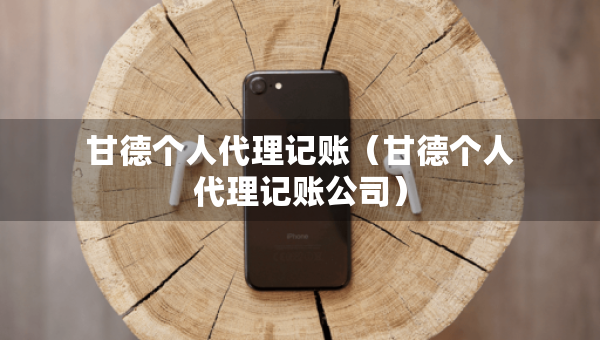 甘德個人代理記賬（甘德個人代理記賬公司）
