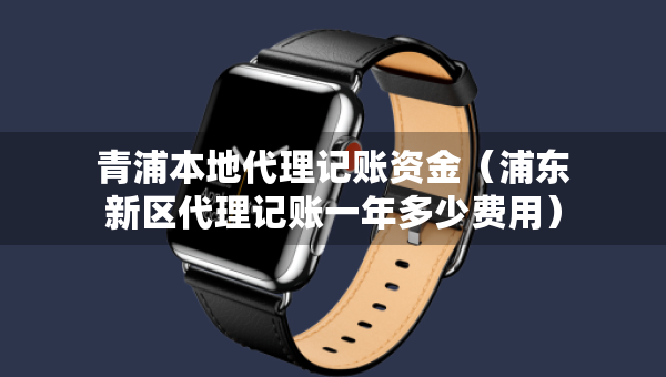 青浦本地代理記賬資金（浦東新區(qū)代理記賬一年多少費(fèi)用）