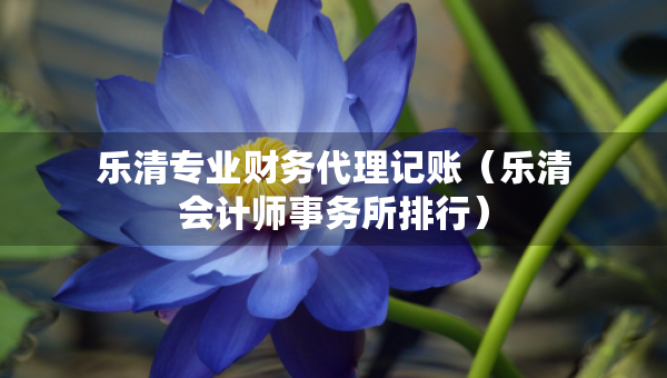 樂清專業(yè)財務代理記賬（樂清會計師事務所排行）