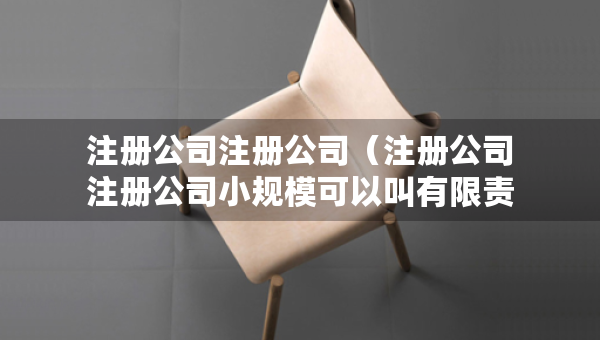注冊公司注冊公司（注冊公司注冊公司小規(guī)?？梢越杏邢挢?zé)任公司嗎）