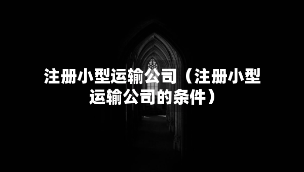 注冊小型運(yùn)輸公司（注冊小型運(yùn)輸公司的條件）