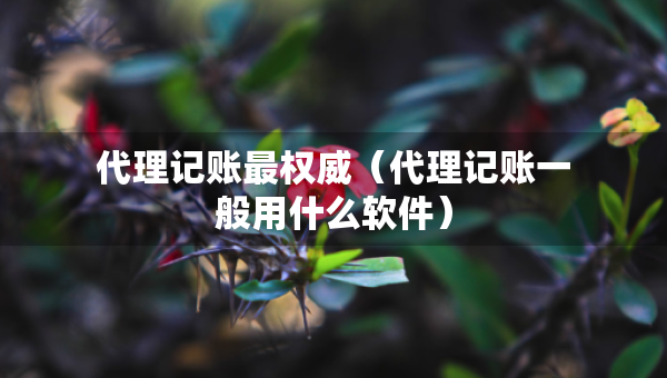 代理記賬最權(quán)威（代理記賬一般用什么軟件）
