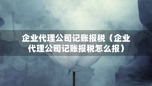 企業(yè)代理公司記賬報(bào)稅（企業(yè)代理公司記賬報(bào)稅怎么報(bào)）