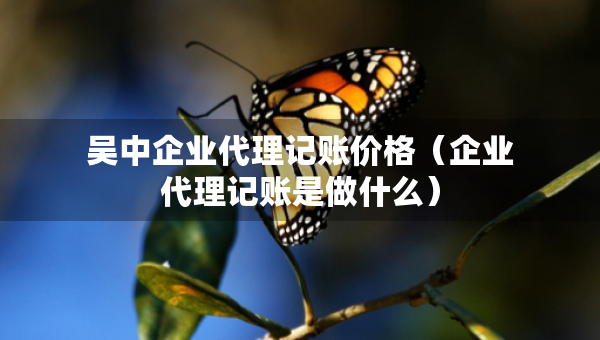 吳中企業(yè)代理記賬價(jià)格（企業(yè)代理記賬是做什么）