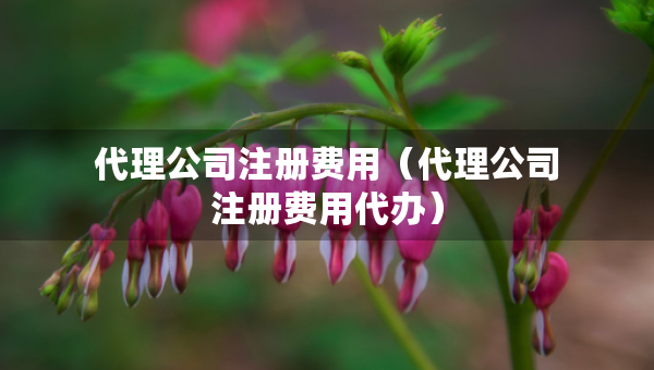 代理公司注冊(cè)費(fèi)用（代理公司注冊(cè)費(fèi)用代辦）