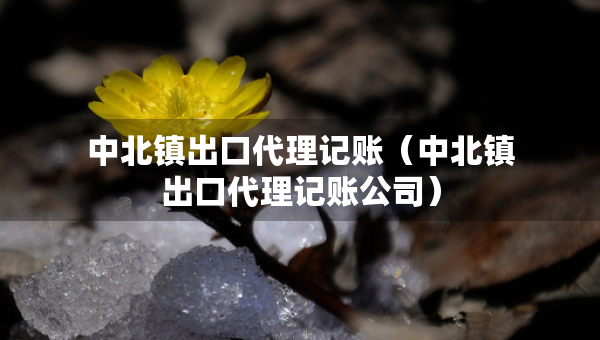 中北鎮(zhèn)出口代理記賬（中北鎮(zhèn)出口代理記賬公司）