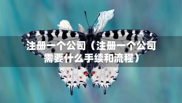 注冊一個公司（注冊一個公司需要什么手續(xù)和流程）