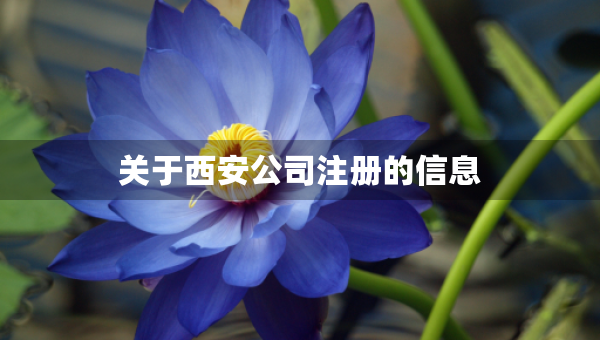 關(guān)于西安公司注冊(cè)的信息